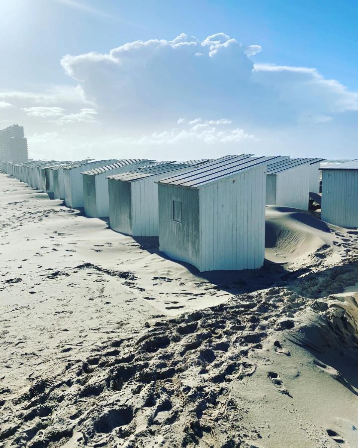 אוסטנדה La Cabane D'O מראה חיצוני תמונה